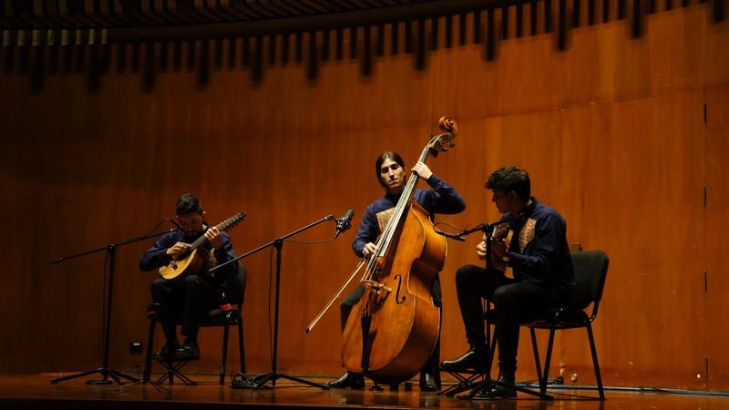 Plenilunio Trío en concierto en una sala de madera
